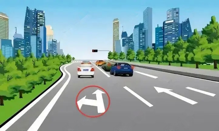 红圈内标线表示该车道可直行或左转。
